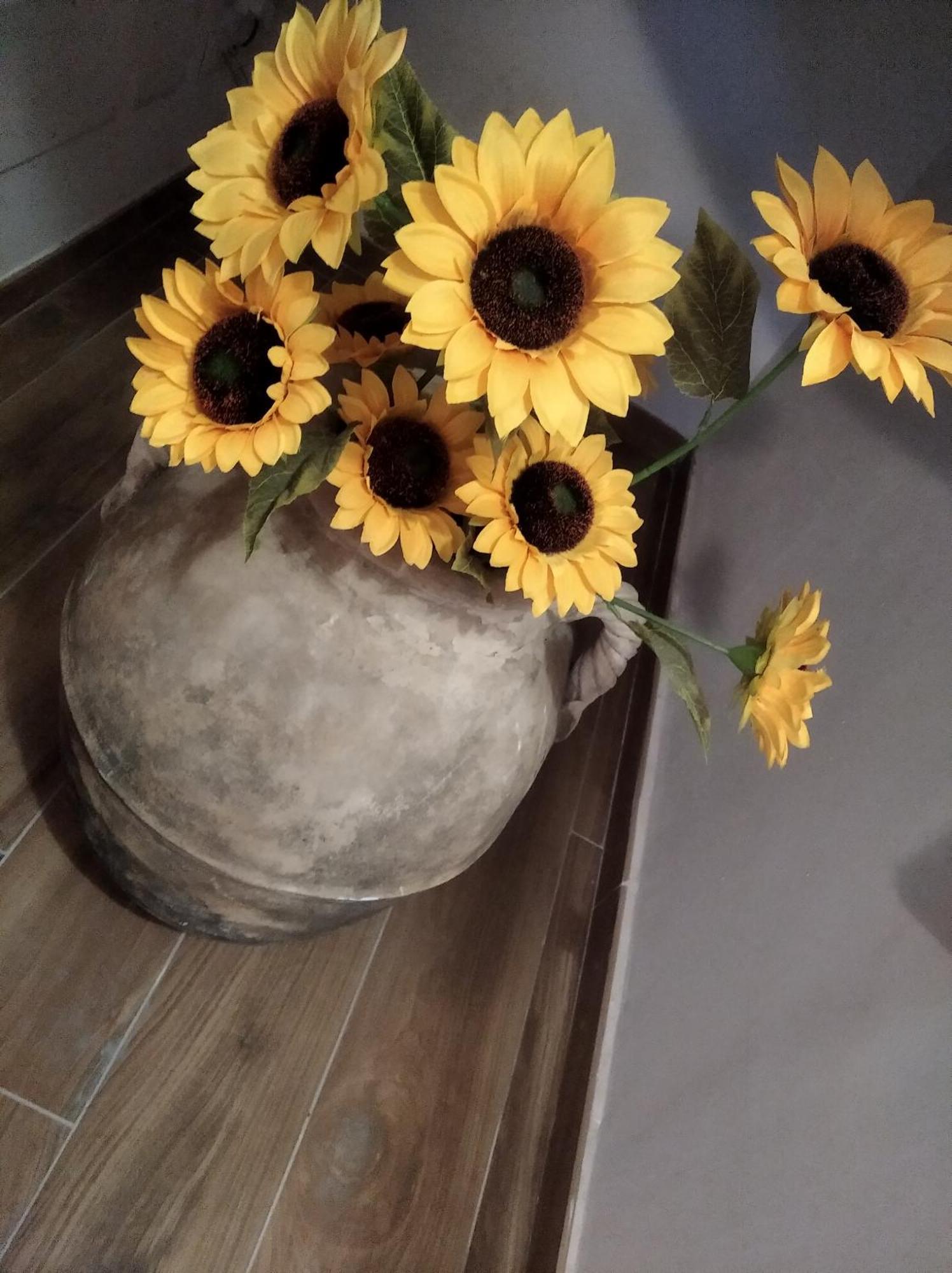 Agriturismo B&B Il Girasole Roccadaspide Eksteriør bilde